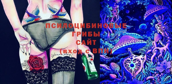 гидропоника Вяземский