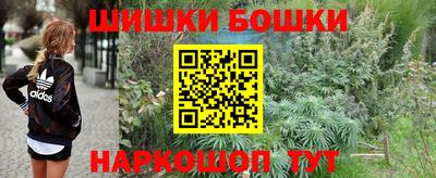 крисы Ливны