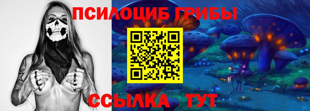Галлюциногенные грибы прущие грибы Заводоуковск